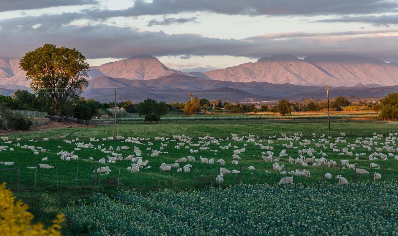 Sonas Boutique Guest House Oudtshoorn Eksteriør billede
